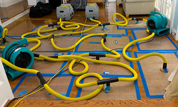 Professional Basement Flood Cleanup technician working in Clifton, TN